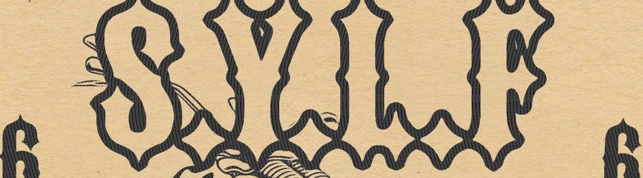 Danni Holler Mortensen